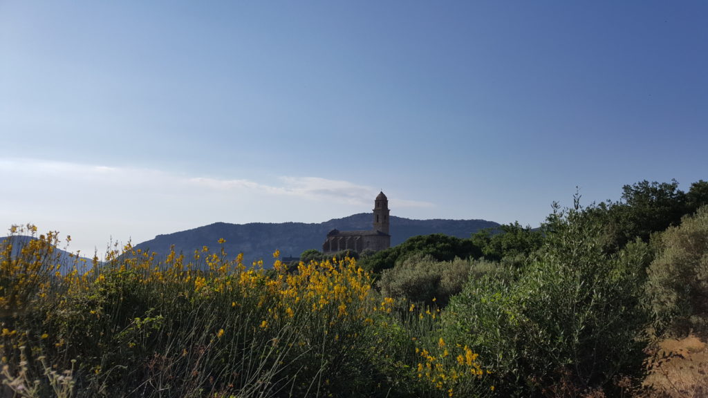 Patrimonio - Motorcycle touring in Corsica